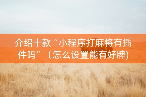 介绍十款“小程序打麻将有插件吗”（怎么设置能有好牌)