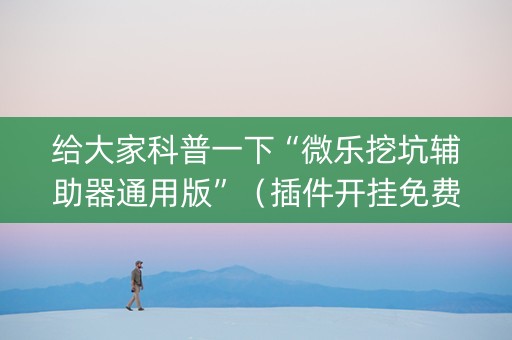 给大家科普一下“微乐挖坑辅助器通用版”（插件开挂免费AI)