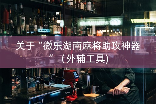 关于“微乐湖南麻将助攻神器”（外辅工具)