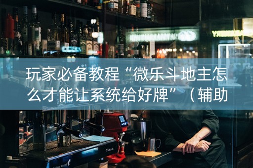 玩家必备教程“微乐斗地主怎么才能让系统给好牌”（辅助器通用版)