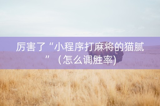 厉害了“小程序打麻将的猫腻”（怎么调胜率)