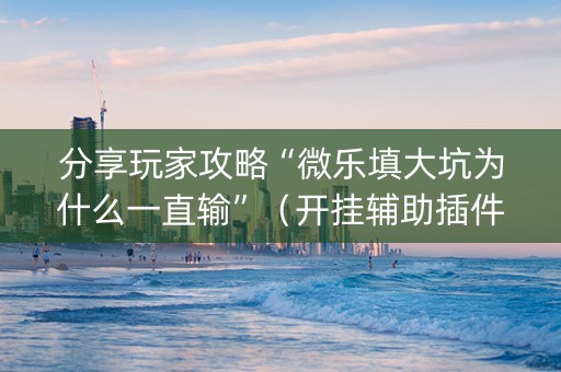 分享玩家攻略“微乐填大坑为什么一直输”（开挂辅助插件)