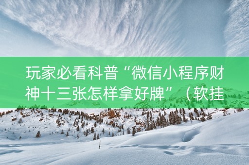 玩家必看科普“微信小程序财神十三张怎样拿好牌”（软挂神器)