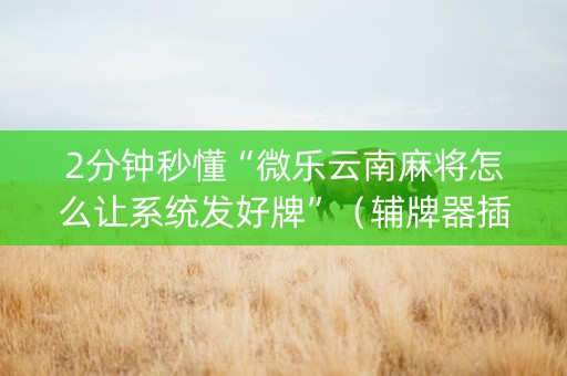 2分钟秒懂“微乐云南麻将怎么让系统发好牌”（辅牌器插件购买)