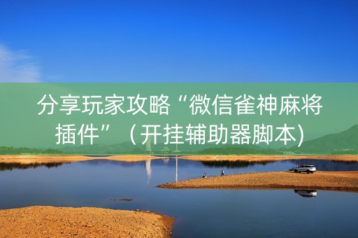 分享玩家攻略“微信雀神麻将插件”（开挂辅助器脚本)