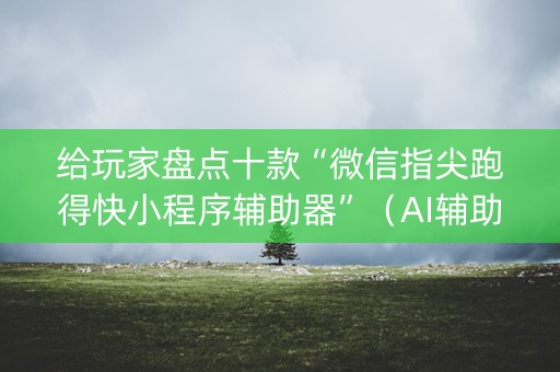 给玩家盘点十款“微信指尖跑得快小程序辅助器”（AI辅助胡牌规则)