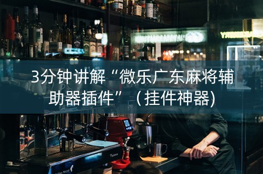 3分钟讲解“微乐广东麻将辅助器插件”（挂件神器)