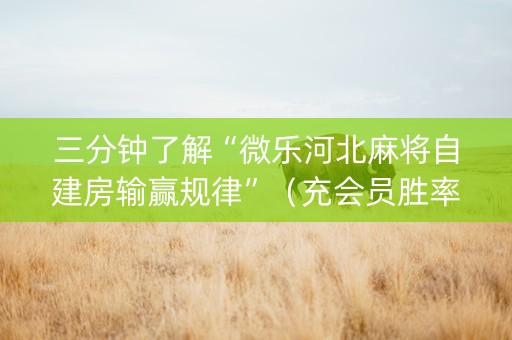 三分钟了解“微乐河北麻将自建房输赢规律”（充会员胜率高)