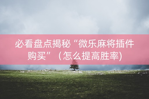必看盘点揭秘“微乐麻将插件购买”（怎么提高胜率)