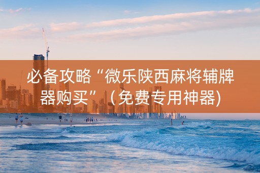 必备攻略“微乐陕西麻将辅牌器购买”（免费专用神器)