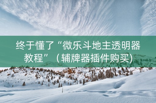 终于懂了“微乐斗地主透明器教程”（辅牌器插件购买)