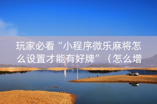 玩家必看“小程序微乐麻将怎么设置才能有好牌”（怎么增加胜率)