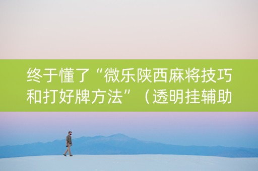 终于懂了“微乐陕西麻将技巧和打好牌方法”（透明挂辅助器)