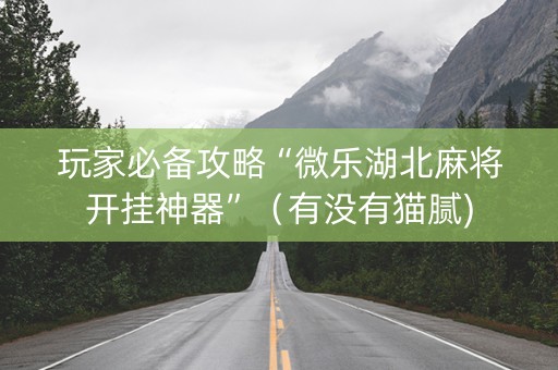 玩家必备攻略“微乐湖北麻将开挂神器”（有没有猫腻)