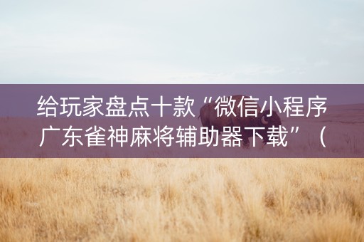 给玩家盘点十款“微信小程序广东雀神麻将辅助器下载”（开挂辅助插件)