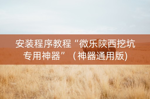 安装程序教程“微乐陕西挖坑专用神器”（神器通用版)