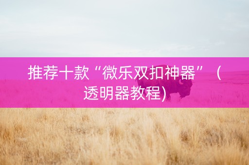 推荐十款“微乐双扣神器”（透明器教程)