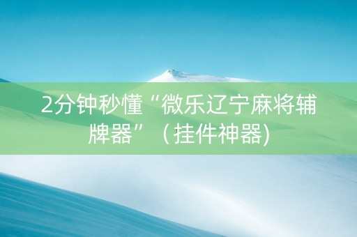 2分钟秒懂“微乐辽宁麻将辅牌器”（挂件神器)