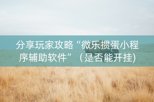 分享玩家攻略“微乐掼蛋小程序辅助软件”（是否能开挂)