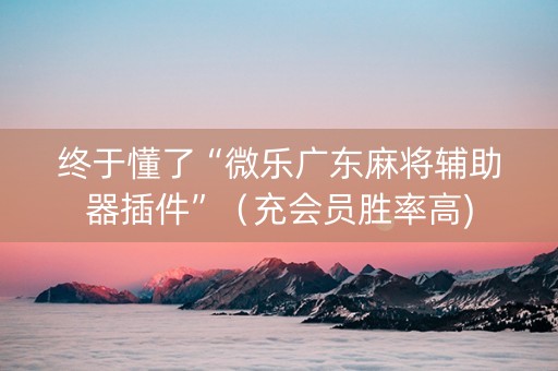 终于懂了“微乐广东麻将辅助器插件”（充会员胜率高)