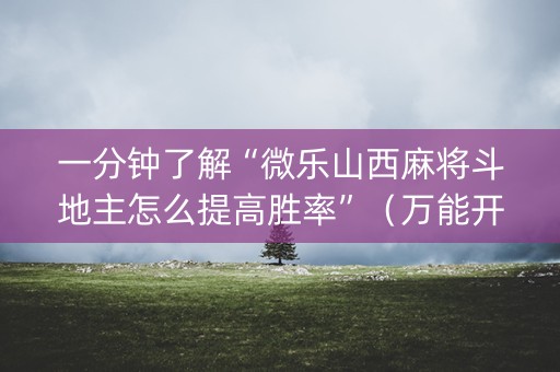 一分钟了解“微乐山西麻将斗地主怎么提高胜率”（万能开挂器)