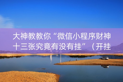 大神教教你“微信小程序财神十三张究竟有没有挂”（开挂辅助脚本)