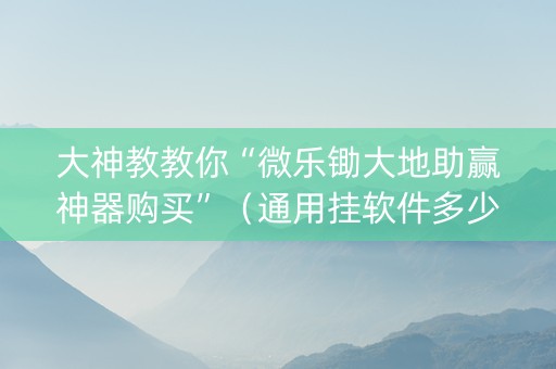 大神教教你“微乐锄大地助赢神器购买”（通用挂软件多少钱)