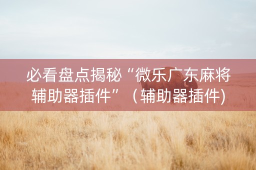 必看盘点揭秘“微乐广东麻将辅助器插件”（辅助器插件)