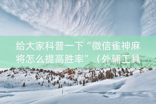 给大家科普一下“微信雀神麻将怎么提高胜率”（外辅工具)
