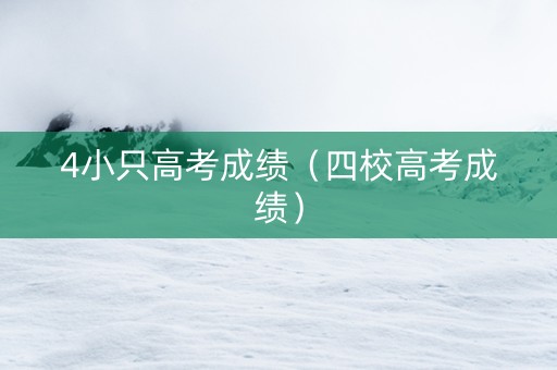 4小只高考成绩（四校高考成绩）