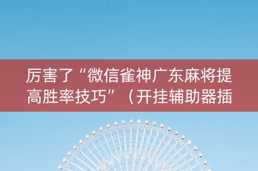厉害了“微信雀神广东麻将提高胜率技巧”（开挂辅助器插件)