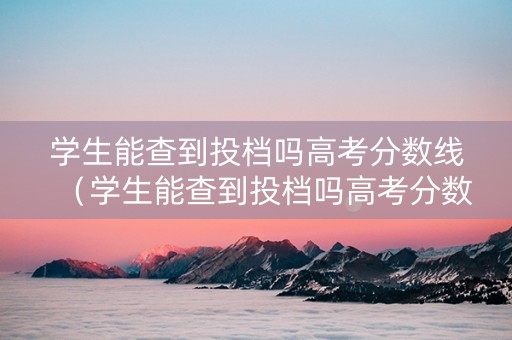 学生能查到投档吗高考分数线（学生能查到投档吗高考分数线是多少）