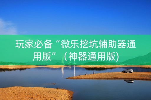 玩家必备“微乐挖坑辅助器通用版”（神器通用版)