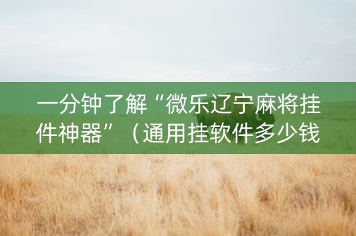 一分钟了解“微乐辽宁麻将挂件神器”（通用挂软件多少钱)