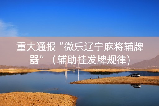 重大通报“微乐辽宁麻将辅牌器”（辅助挂发牌规律)