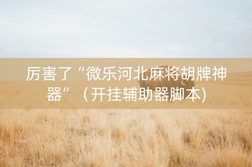 厉害了“微乐河北麻将胡牌神器”（开挂辅助器脚本)
