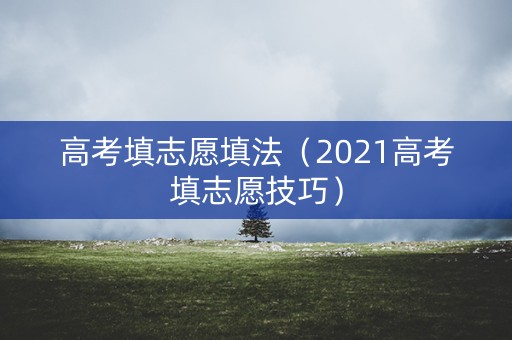 高考填志愿填法（2021高考填志愿技巧）