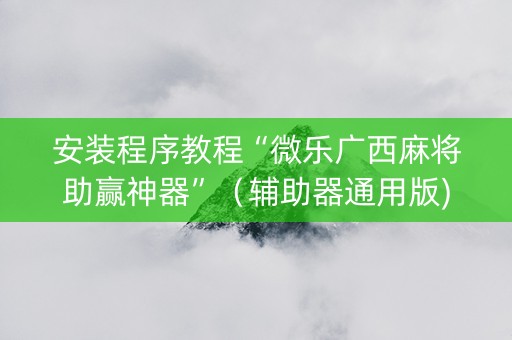 安装程序教程“微乐广西麻将助赢神器”（辅助器通用版)