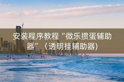 安装程序教程“微乐掼蛋辅助器”（透明挂辅助器)