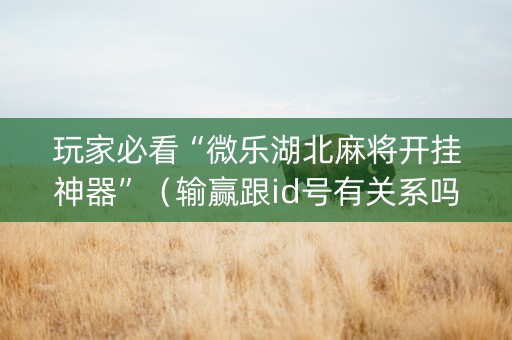 玩家必看“微乐湖北麻将开挂神器”（输赢跟id号有关系吗)