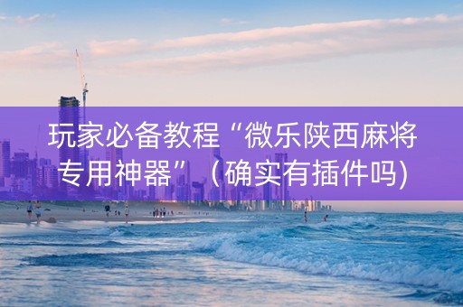 玩家必备教程“微乐陕西麻将专用神器”（确实有插件吗)