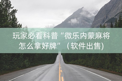 玩家必看科普“微乐内蒙麻将怎么拿好牌”（软件出售)