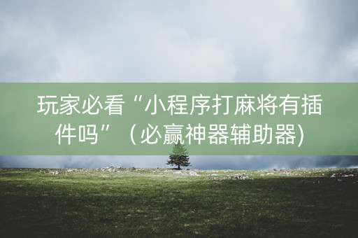 玩家必看“小程序打麻将有插件吗”（必赢神器辅助器)