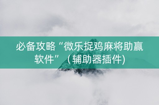 必备攻略“微乐捉鸡麻将助赢软件”（辅助器插件)