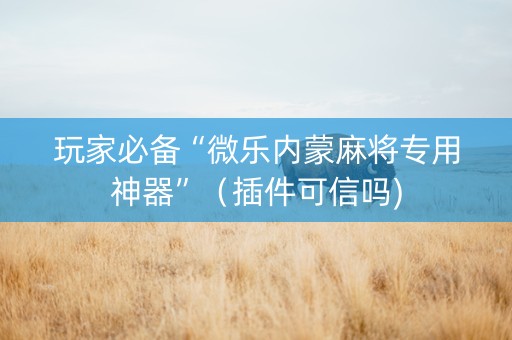 玩家必备“微乐内蒙麻将专用神器”（插件可信吗)
