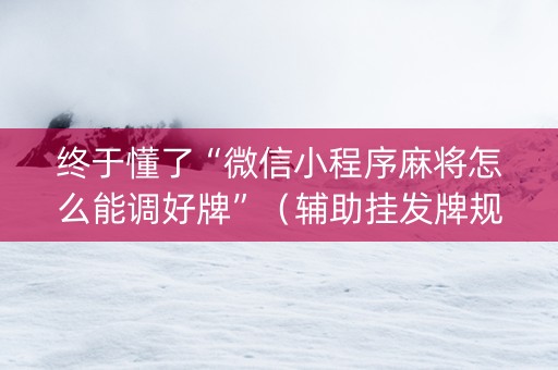 终于懂了“微信小程序麻将怎么能调好牌”（辅助挂发牌规律)