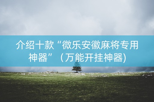 介绍十款“微乐安徽麻将专用神器”（万能开挂神器)