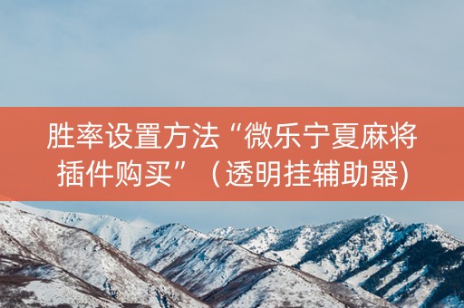 胜率设置方法“微乐宁夏麻将插件购买”（透明挂辅助器)