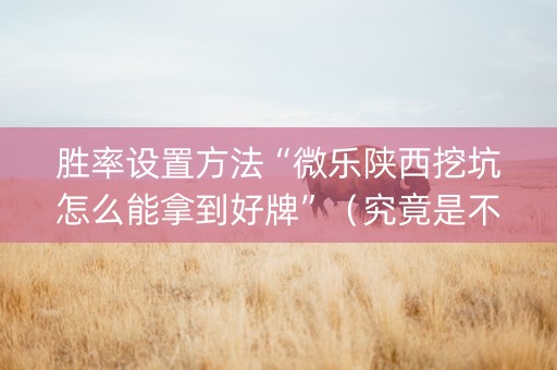 胜率设置方法“微乐陕西挖坑怎么能拿到好牌”（究竟是不是有挂)