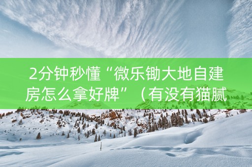 2分钟秒懂“微乐锄大地自建房怎么拿好牌”（有没有猫腻)